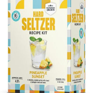 Pineapple Hard Seltzer Kit - short dated stock