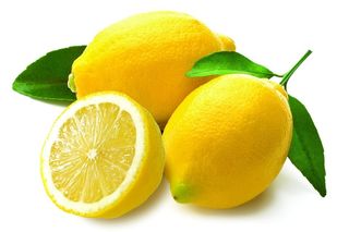 Lemon Saison Extract Kit
