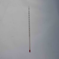 Thermometer 300mm